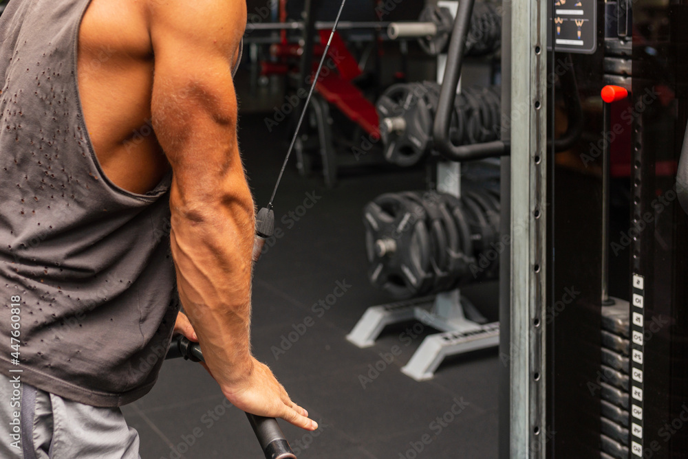 Muscular man working out in gym doing exercises,Exercise for triceps in the gym. strong male naked torso abs.Copy space Muscular man working out in gym doing exercises,Exercise for triceps in the gym. strong male naked torso abs.Copy space