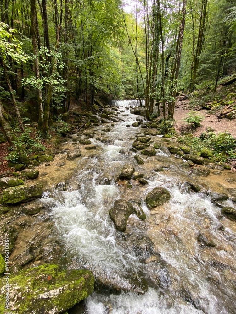 Fototapeta premium Summer view of the River Herisson, france, jura