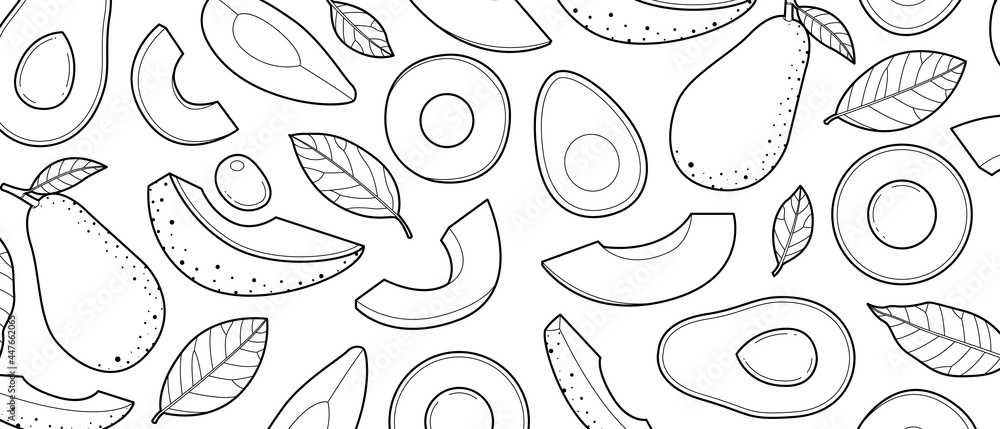 Avocado sketch drawn on a white background Avocado sketch drawn on a white background