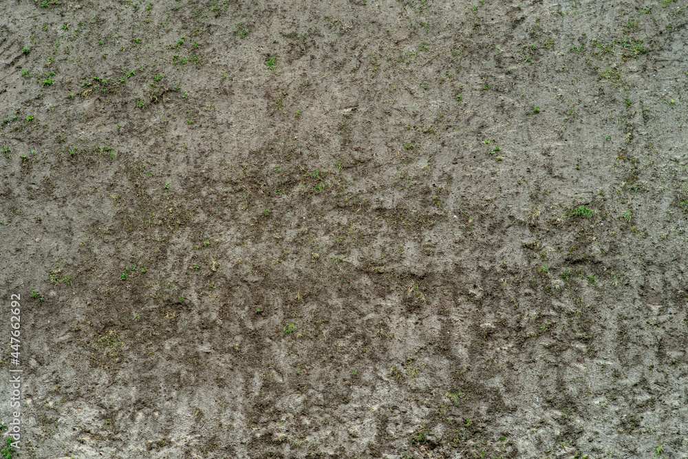 Obraz premium Background with dirty ground. Top view of the surface with wet sand and soil