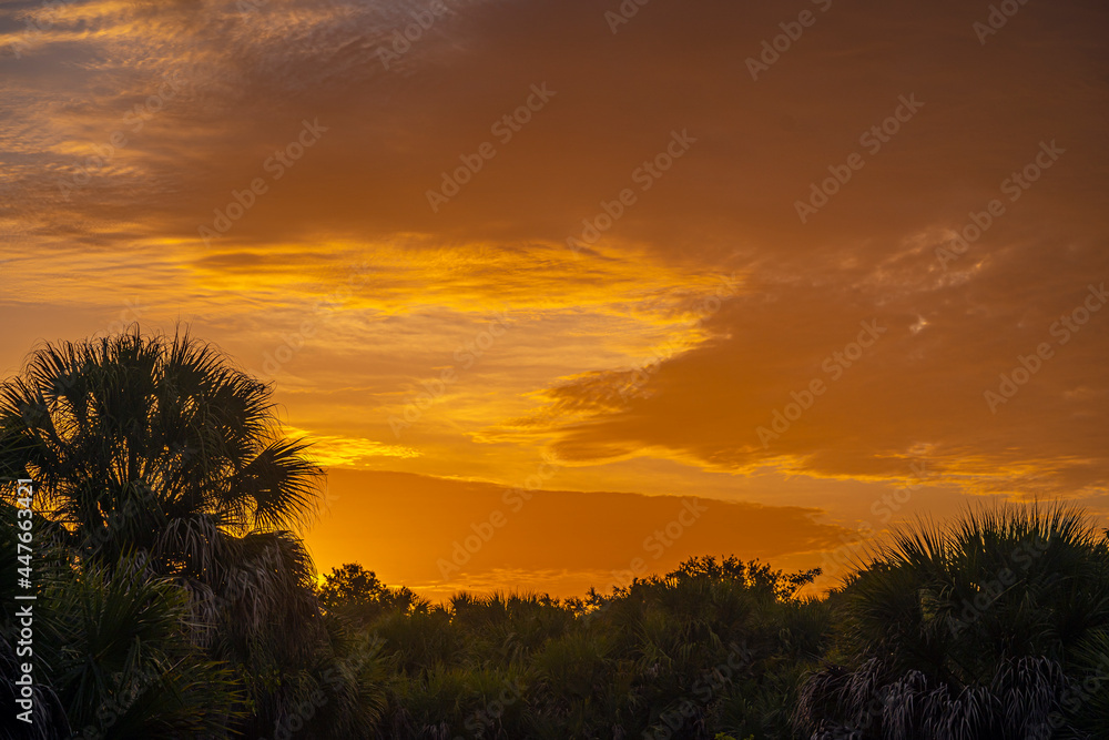 Early morning dramatic sky off the gulf coast of Florida at Shamrock park nature reserve