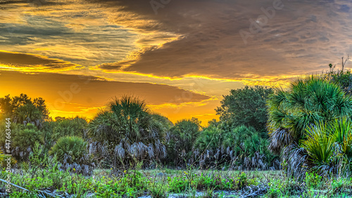 Early morning dramatic sky off the gulf coast of Florida at Shamrock park nature reserve photo