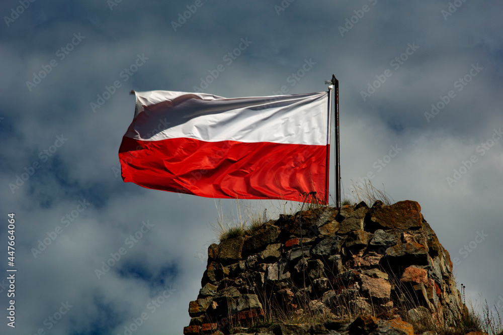 flaga polski  - obrazy, fototapety, plakaty 