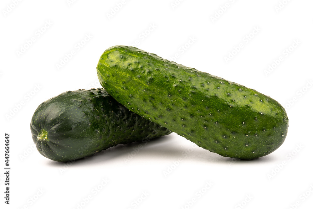 cucumber vegetable isolated on white background cucumber vegetable isolated on white background