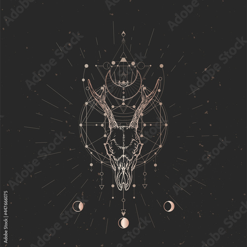 Vector illustration with hand drawn Roe deer skull and Sacred geometric symbol on black vintage background. Abstract mystic sign.