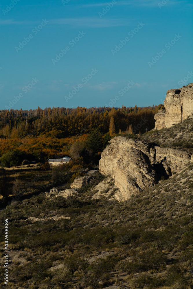 Paisaje con fondo de arboleda y rocas con cielo despejado Paisaje con fondo de arboleda y rocas con cielo despejado