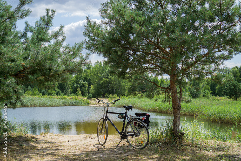 The bike stands on a sandy beach of a forest lake under a separate pine tree against a blue sky. The bike stands on a sandy beach of a forest lake under a separate pine tree against a blue sky.