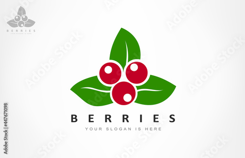 Cranberry berries logo vector design