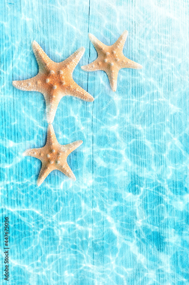 Starfish on the summer beach in sea water. Summer background. Summer time. Starfish on the summer beach in sea water. Summer background. Summer time.