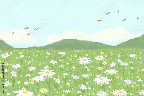 Blooming daisy field vector background with mountain banner