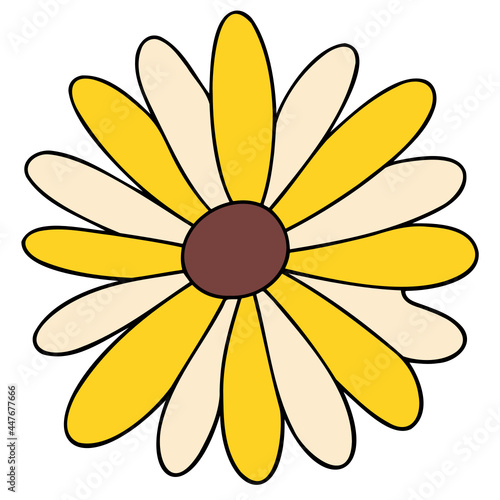 daisies Flat color illustration for web, wedsite, application, presentation, Graphics design, branding, etc. photo