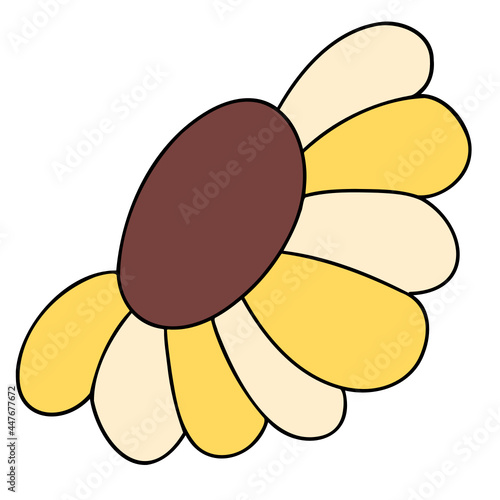 daisies Flat color illustration for web, wedsite, application, presentation, Graphics design, branding, etc. photo