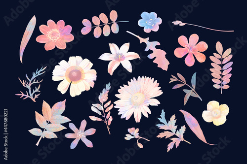 Colorful floral design vector set