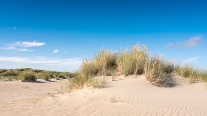 Foto auf Acrylglas Nordsee Die niederländischen Watteninseln haben viele verlassene Sanddünen unter blauem Sommerhimmel in den Niederlanden  © ahavelaar