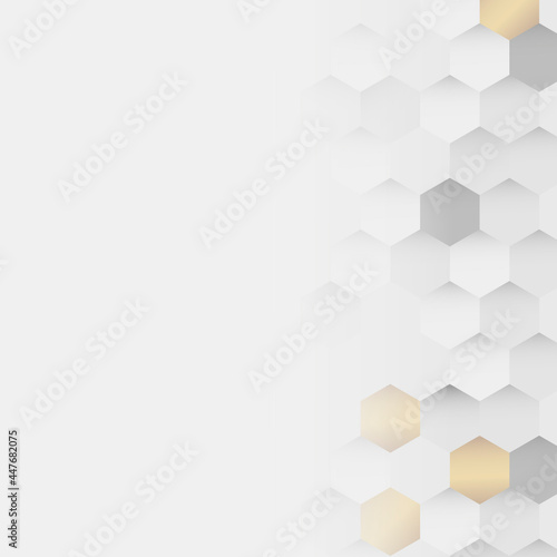 White and gold hexagon pattern background vector