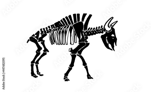 Graphical skeleton of bison isolated on white background,vector illustration