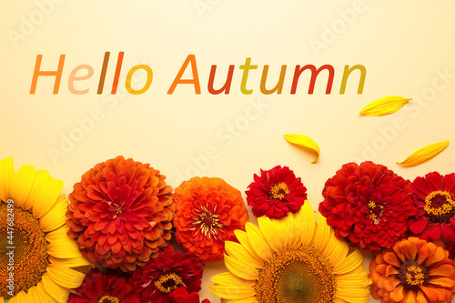 Hello Autumn message with different autumn flowers on beige background.