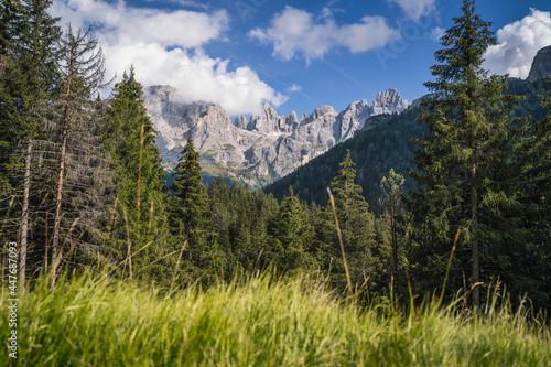 Val Venegia with view of Pale di San Martino mountains group, Italian Dolomites, UNESCO World Heritage Site