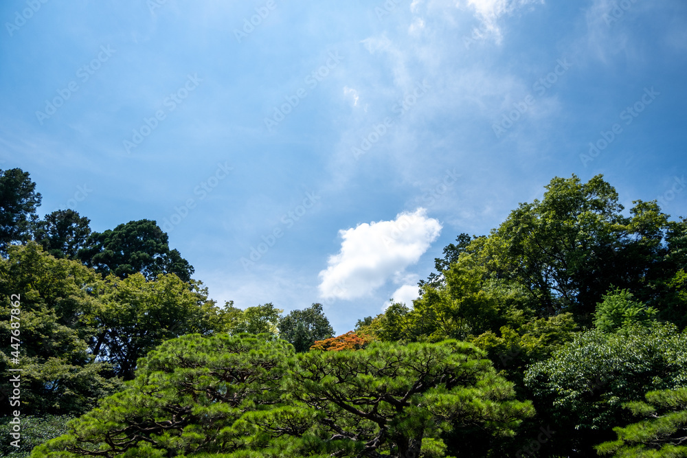 風景素材　旧竹林院の青空と緑の木々