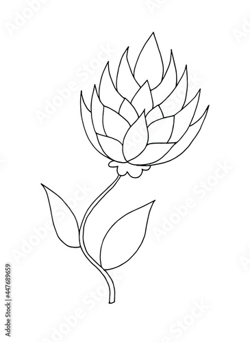 decorative flower drawn by line