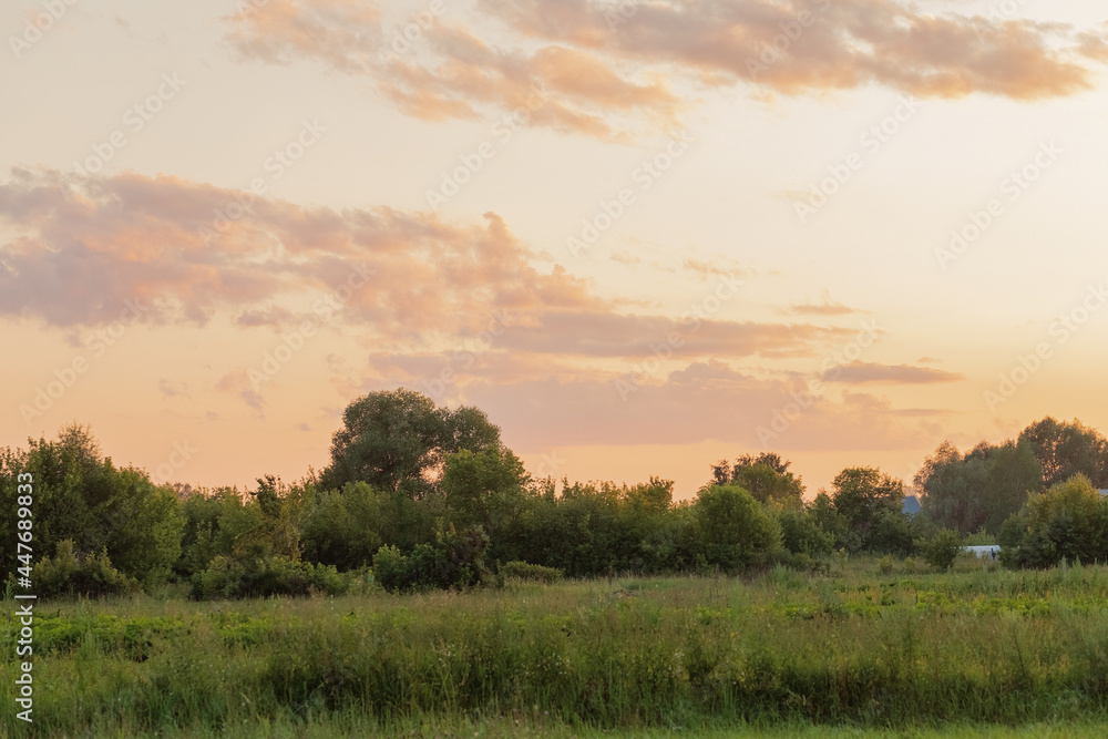 Green field with trees on the background of the sunset sky. Summer concept. Selective focus. Landscape. Green field with trees on the background of the sunset sky. Summer concept. Selective focus. Landscape.