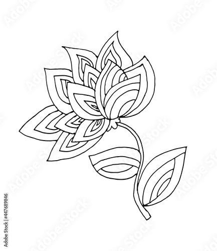 decorative flower drawn by line