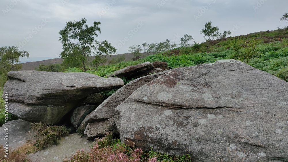 landscape with rocks