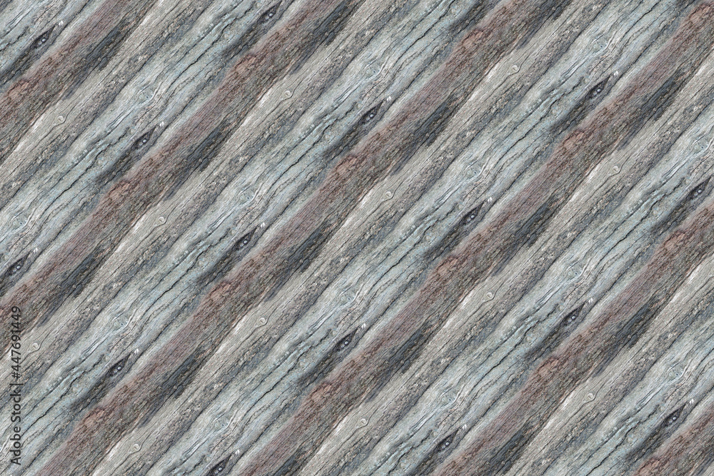 wood bark wooden texture structure pattern wood bark wooden texture structure pattern
