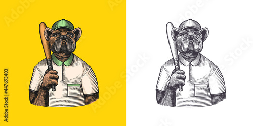 Dog character. Bulldog baseball player with a bat. Fashionable animal, vitorian gentleman in a jacket. Hand drawn Engraved old monochrome sketch. Vector illustration for t-shirt, tattoo or badge