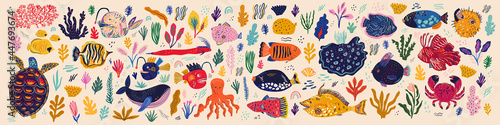 Underwater world. Vector collection with fishes and seaweed in cartoon style © moleskostudio