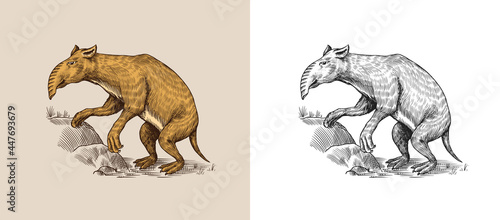 Palorchestes. Marsupials of the family Palorchestidae. Vintage Extinct animal. Retro Mammals. Hand drawn engraved sketch.