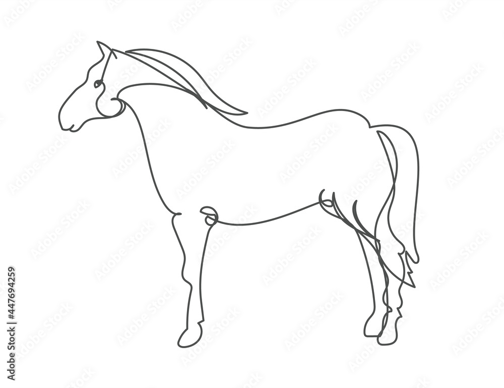 Horse in continuous line art style isolated on white background. Modern ...