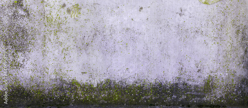Stara ściana muru z teksturą  pęknięć z zielonym nalotem.