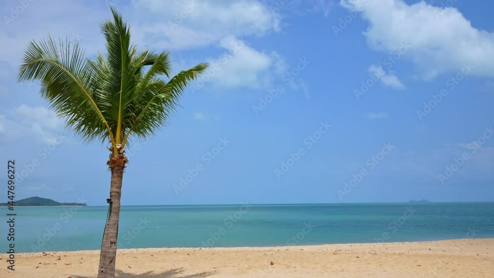 Tropical beautiful landscape of sea ocean around sand with white cloud blue sky for nature background
Tropical beautiful landscape of sea ocean around sand with white cloud blue sky for nature background