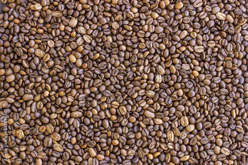 Coffee beans brown background