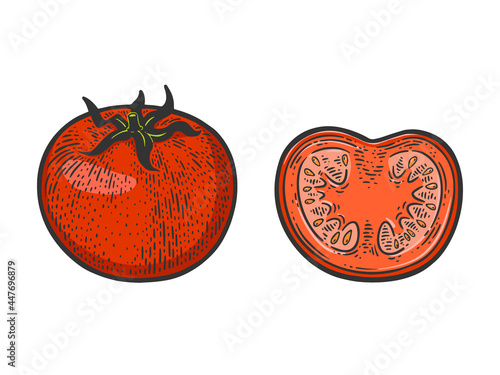Cut tomato color sketch engraving vector illustration. T-shirt apparel print design. Scratch board imitation. Black and white hand drawn image.