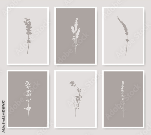 Botanical flowers art print...