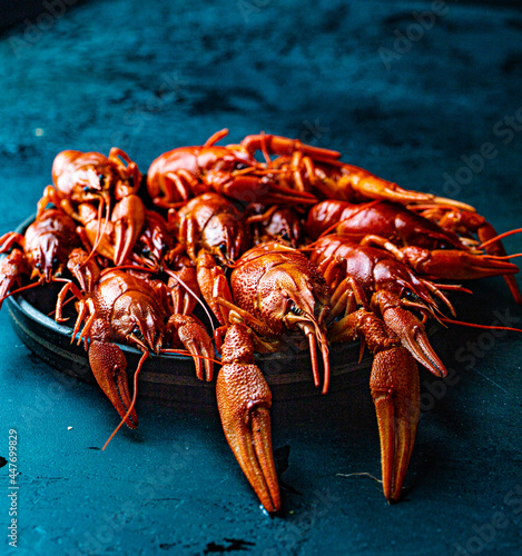 boiled crayfish on a dark background photo