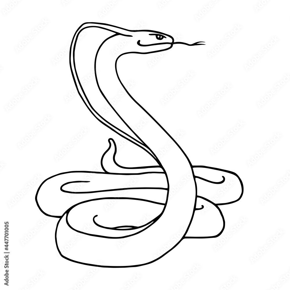 venomous snake, Indian king cobra in a stand, dangerous reptile, vector illustration with black contour lines isolated on a white background in a cartoon and hand drawn style venomous snake, Indian king cobra in a stand, dangerous reptile, vector illustration with black contour lines isolated on a white background in a cartoon and hand drawn style