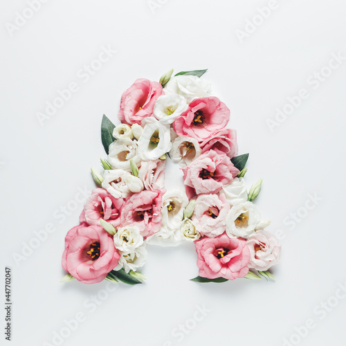 Letter A made with flower and leaves on bright white background. Floral mother's day alphabet concept. Spring blossom, valentine or romantic font collection. Flat lay, top view.