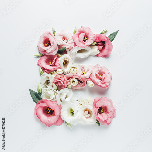 Letter E made with flower and leaves on bright white background. Floral mother's day alphabet concept. Spring blossom, valentine or romantic font collection. Flat lay, top view.