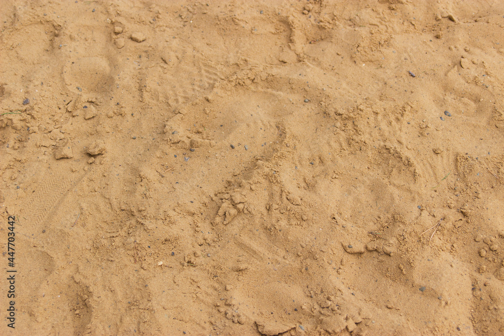 Summer fine sand beach background