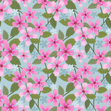 Pink blooming flowers on blue color background.