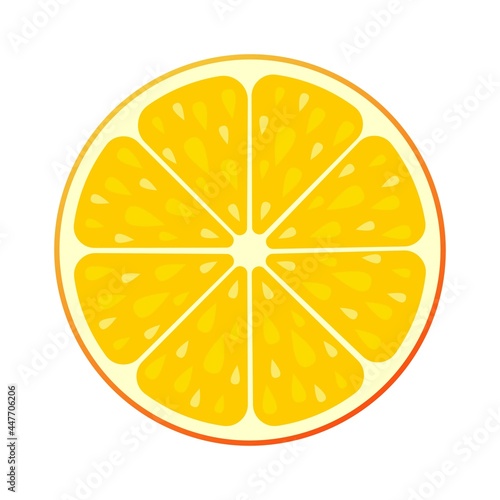 Vector flat illustration of round orange slice
