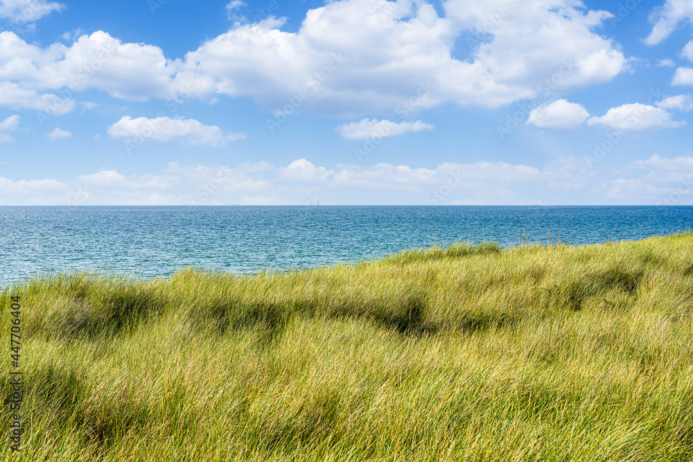 Dune with beach grass in the foreground. Baltic sea Germany. National Park Vorpommersche Boddenlandschaft
