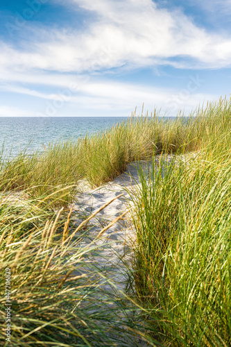 Fototapeta Naklejka Na Ścianę i Meble -  Dune with beach grass in the foreground. Baltic sea Germany. National Park Vorpommersche Boddenlandschaft