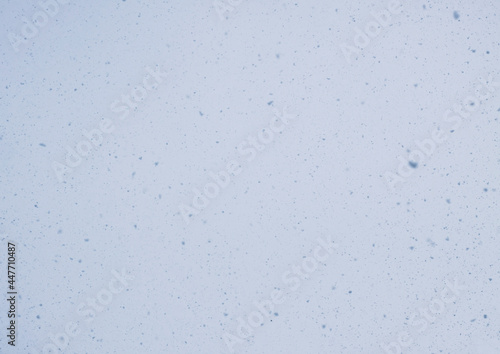 Blurred winter photo overlay. Empty space. Light background with fluffy flying snowflakes.