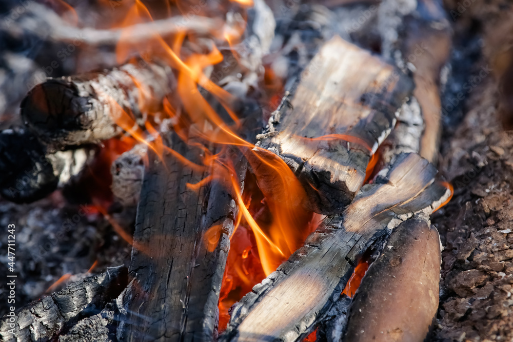 Fogo crepitando no chão, a brasa perfeita para assar carnes, espalhando um aroma irresistível pelo ar. Fogo crepitando no chão, a brasa perfeita para assar carnes, espalhando um aroma irresistível pelo ar.