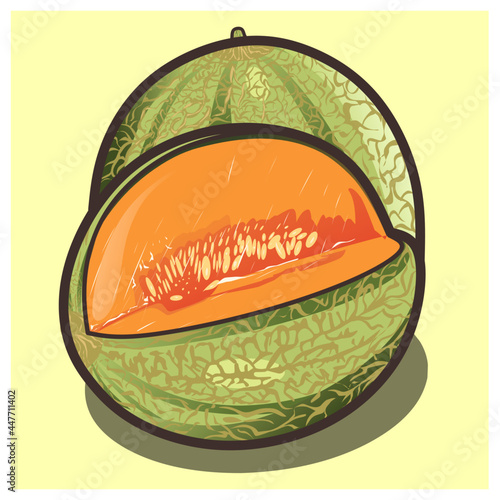 illustration of ripe melon for children's books