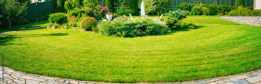 Fototapeta premium Beautiful manicured lawn and flowerbed with deciduous shrubs on plot or Park outdoor. Green lawn closely mowed grass.